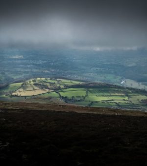 nick-russill-fBoOQPxvIWM-unsplash